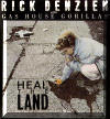 Rick Denzein - Heal The Land