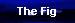 The Fig