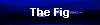 The Fig
