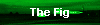 The Fig